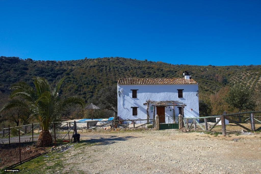 Hotel Enrique Calvillo El Bosque Cameră foto